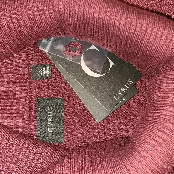 NWT CYRUS Mahogany Turtleneck Sweater - Picture 2 of 4
